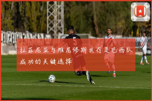 拉菲尼亚与维尼修斯共存是巴西队成功的关键选择
